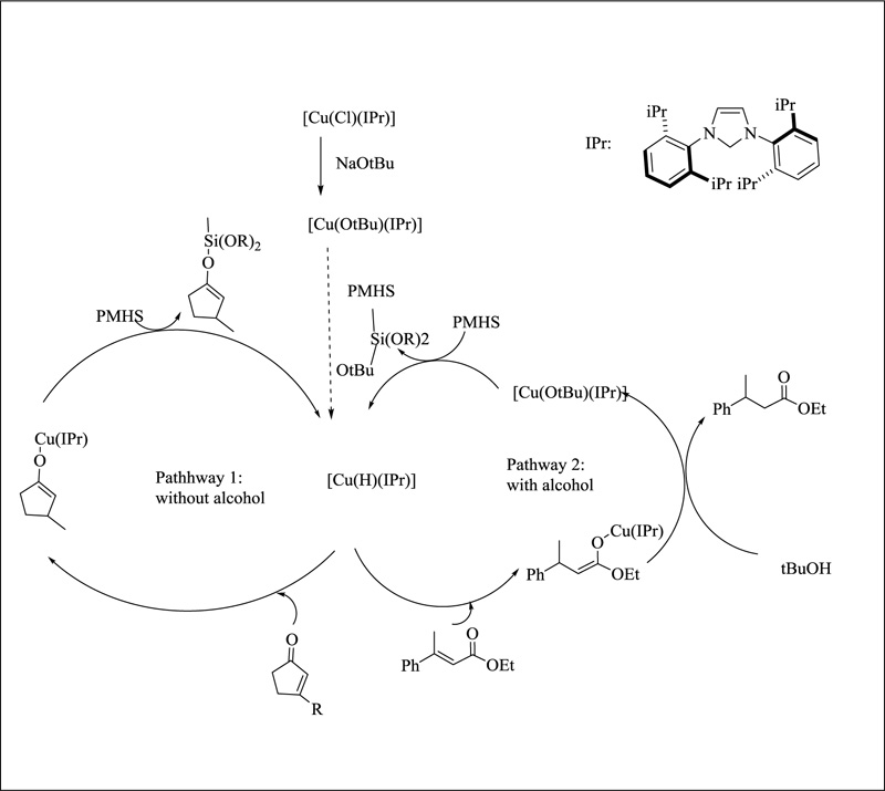 A Review on The Medicinal And Industrial Applications of N-Containing ...